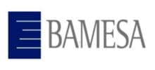 Bamesa